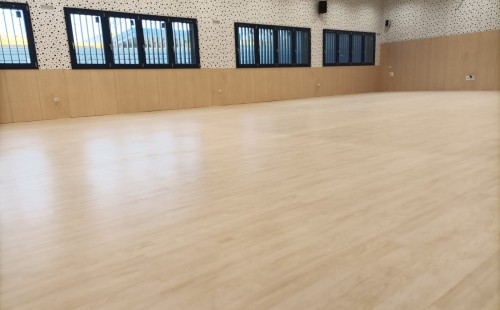 PAVIMENTO EN SALA MULTIUSOS DE ESCUELA DE ZARAGOZA