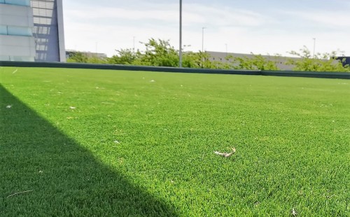 OFICINAS EN PLAZA: ¿Una terraza o un campo de fútbol? 